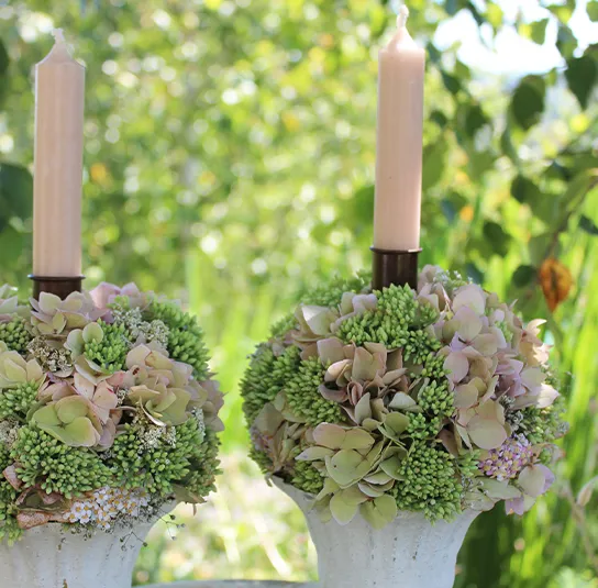 DIY Set – Topf Juna Hortensienkugel – Bild 8