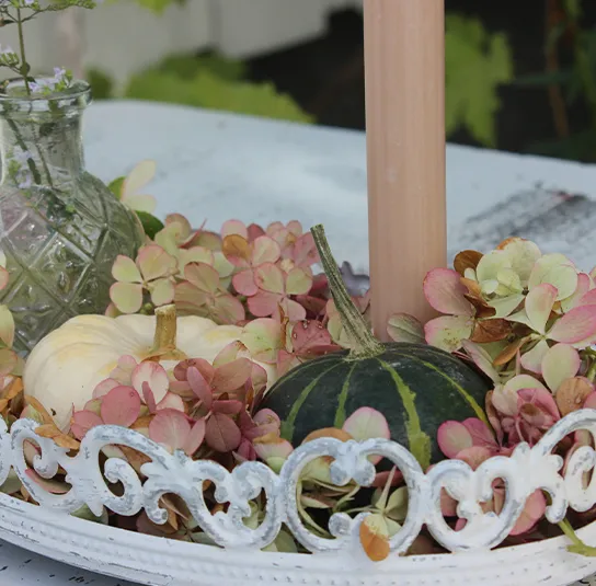 Set Kürbisdeko, Herbstdeko – Teller Söt oval weiß groß – Bild 7