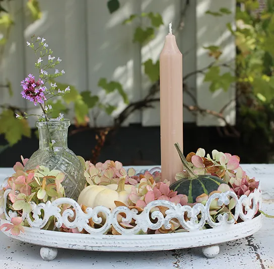Set Kürbisdeko, Herbstdeko – Teller Söt oval weiß groß – Bild 5